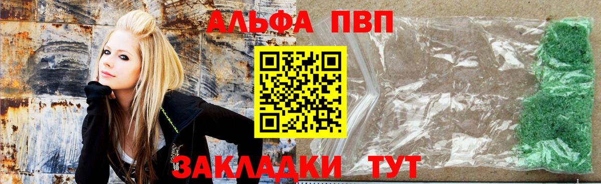 Alfa_PVP СК Хасавюрт