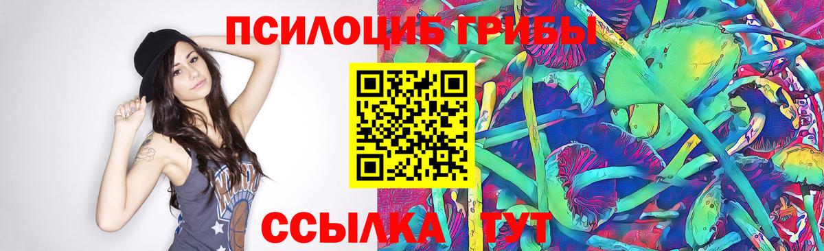 Псилоцибиновые грибы прущие грибы  Вход с VPN  Хасавюрт 